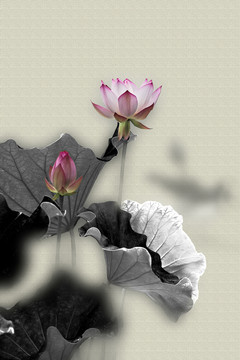 中國風(fēng)荷花
