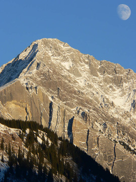 山月出