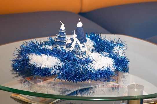圣誕節(jié)的作文