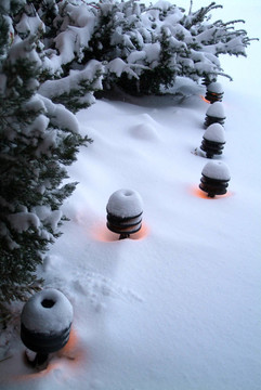 新鮮的雪