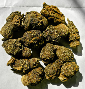 黑瑪卡 紫瑪卡 黃瑪卡素材
