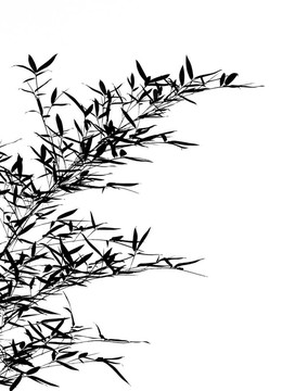 竹葉及枝