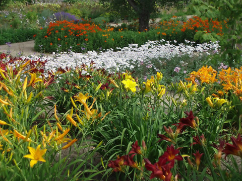 花園
