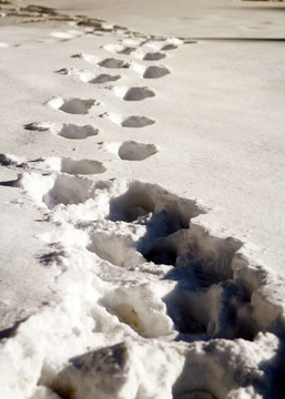 腳步在雪中