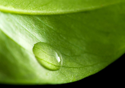 水滴