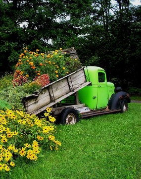 花和一輛卡車