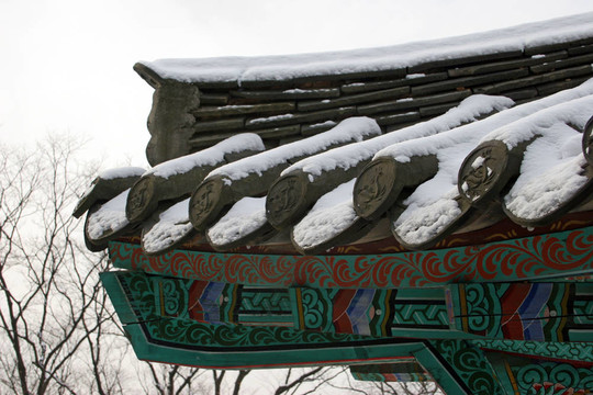 寺