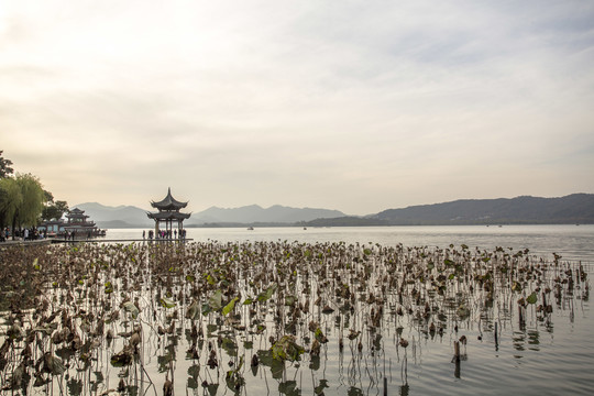 杭州西湖