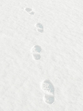 在Snow的足跡