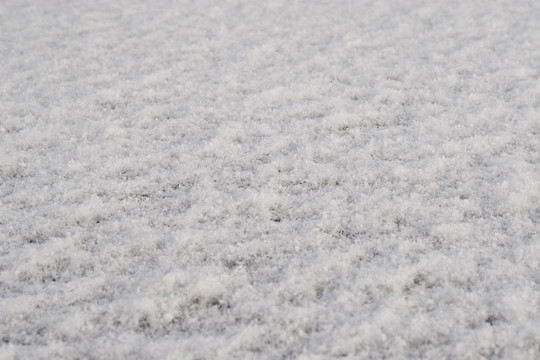 雪覆蓋的地面