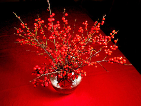花瓶里的紅漿果樹(shù)枝