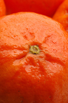 Tangerine夜店的宏