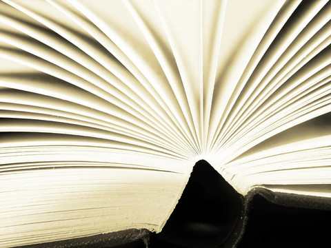 一本書的書頁
