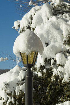 雪下的路燈柱上”