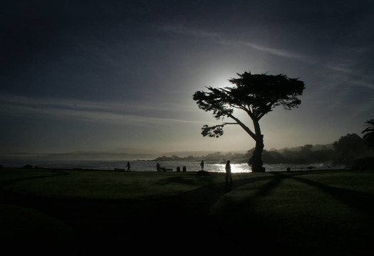 dawn1