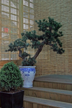 日本式庭園