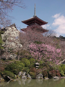 kyomizudera早春