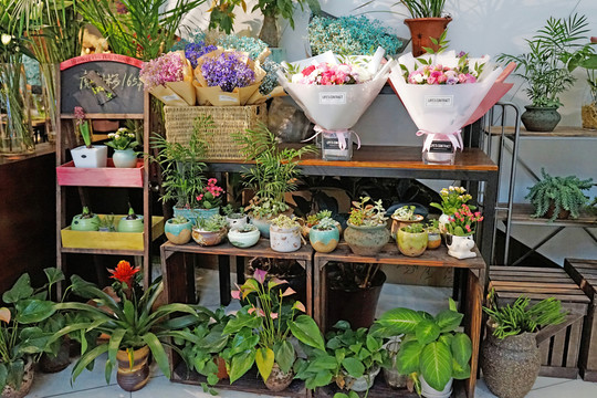鮮花店 園藝店