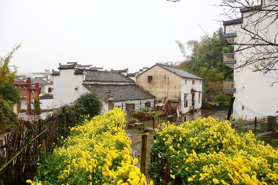 山村農(nóng)家 徽州民居
