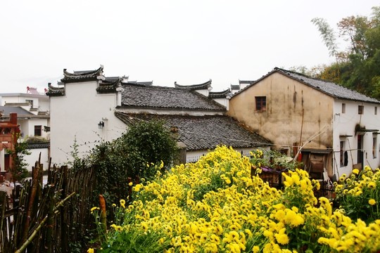 皖南農(nóng)家