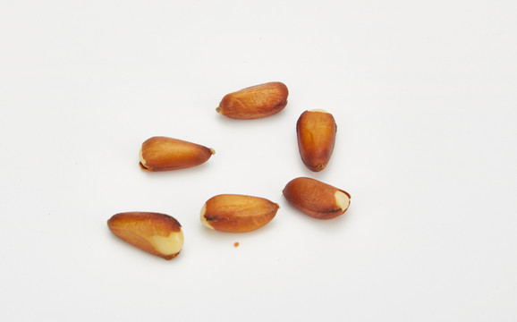 松子純色高清圖