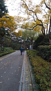 秋意濃濃