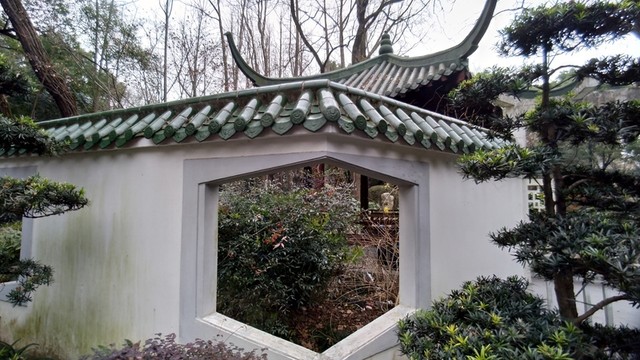 園藝素材