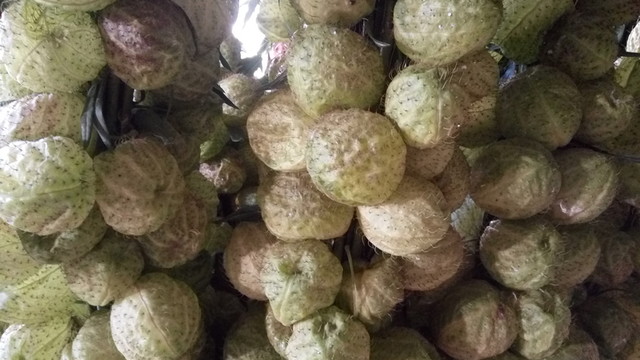 果實(shí) 特色農(nóng)業(yè) 果實(shí)種植 泡泡