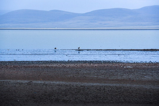 尕海湖