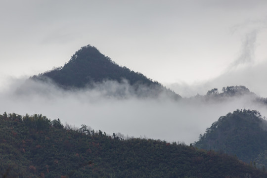 云霧山中