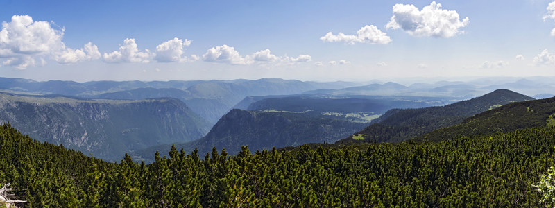 山