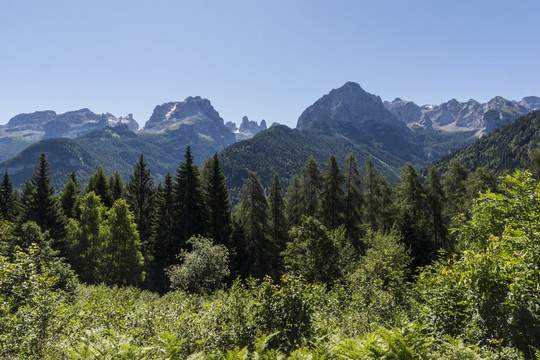 山