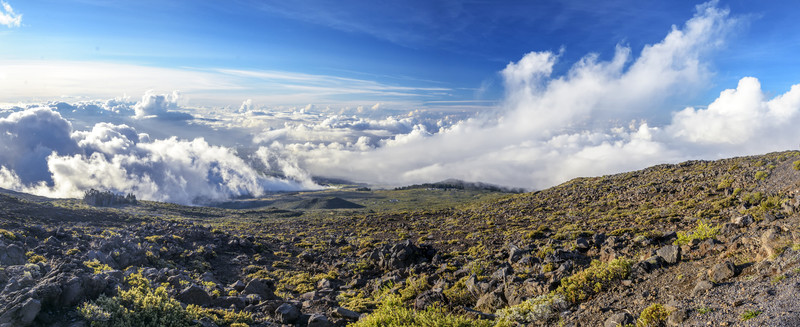 山