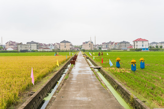 農(nóng)業(yè)旅游