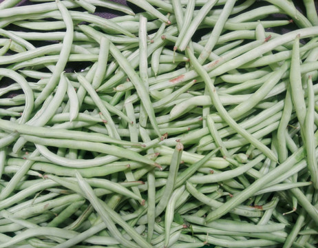 菜豆