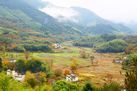 山村田野