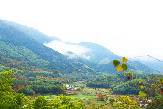 山村田野