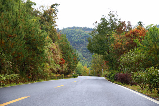 山區(qū)公路