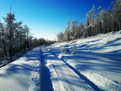 林間積雪道路