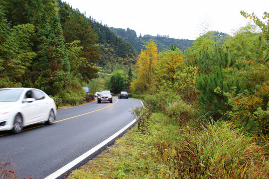 山區(qū)道路車輛
