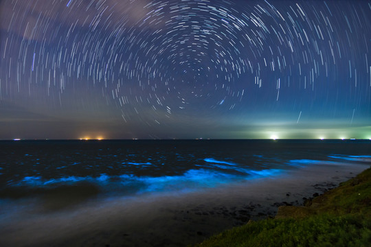星空下的熒光海