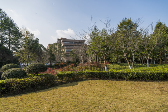 校園