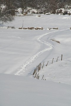雪地里的小路