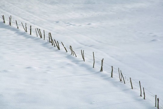 雪中的籬笆