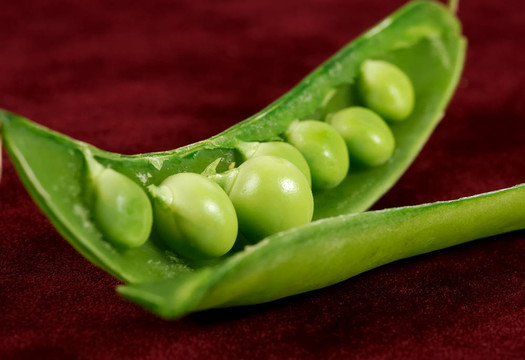 豆莢