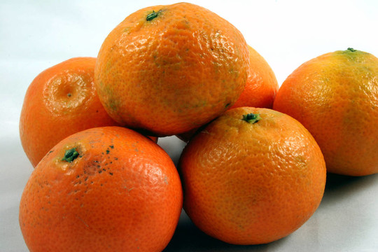有機(jī)橙子