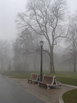 Niagara的霧