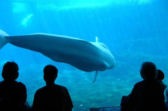水族館