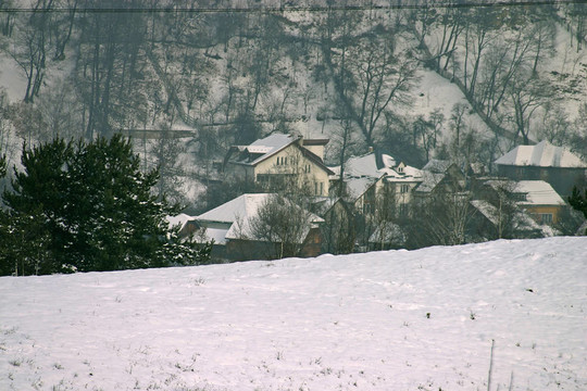 雪白的屋頂