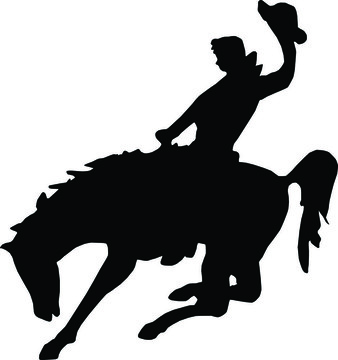 野馬